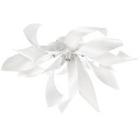 Люстры накладные — Накладная люстра Lightstar 754166 купить в  Люстры накладные — Накладная люстра Lightstar 754166 купить в