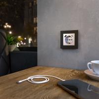 Розетки — Розетка Werkel W1171706 купить в 