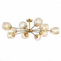 Люстры на штанге — Люстра на штанге Evoluce SLE155412-10 купить в  Люстры на штанге — Люстра на штанге Evoluce SLE155412-10 купить в