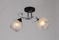 Потолочные люстры — 02648/2 черный купить в 