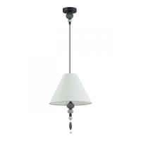 Подвесные светильники — Подвесной светильник Odeon Light 4896/1 купить в 