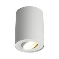 Накладные точечные светильники — Накладной светильник Omnilux OML-101009-01 купить в  Накладные точечные светильники — Накладной светильник Omnilux OML-101009-01 купить в