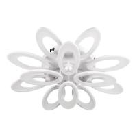 Потолочные люстры — Потолочная светодиодная люстра Escada 10238/12LED купить в 