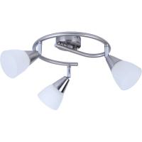 Споты — Спот TOPLIGHT TL1232Y-03SN купить в  Споты — Спот TOPLIGHT TL1232Y-03SN купить в