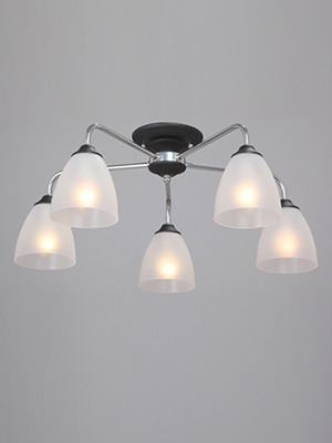 Люстры накладные — Накладная люстра Vitaluce V3946-1/5PL купить в  Люстры накладные — Накладная люстра Vitaluce V3946-1/5PL купить в