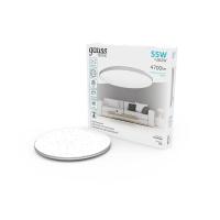 Накладные светильники — Накладной светильник Gauss 995440260 купить в 