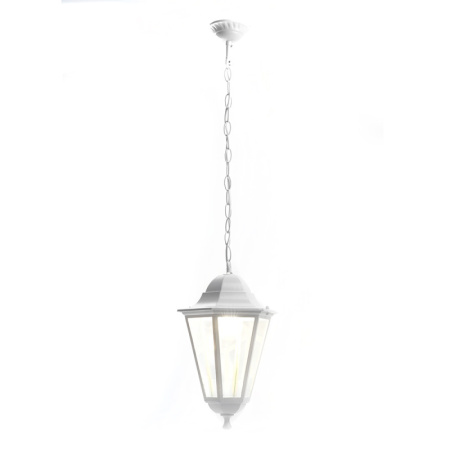 Подвесные уличные светильники — Подвесной уличный светильник Feron 11071 купить в 