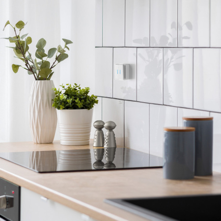 Выключатели — Выключатель Werkel W5020101 купить в 