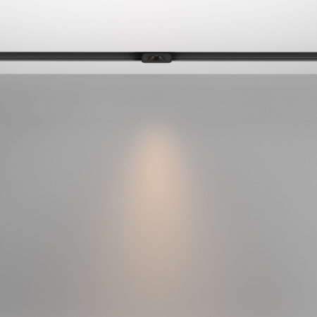 Трековые светильники — Светильник на шине Maytoni Technical TR100-2-2W3K-S-B купить в 