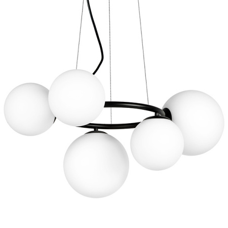 Люстры подвесные — Подвесная люстра Lightstar 815057 купить в  Люстры подвесные — Подвесная люстра Lightstar 815057 купить в