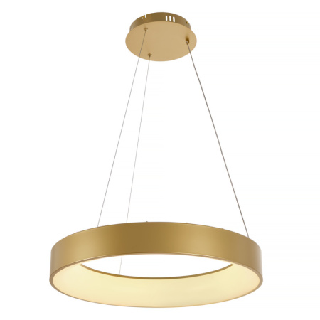 Подвесные светильники — Подвесной светильник MyFar MR2192-1PL купить в 