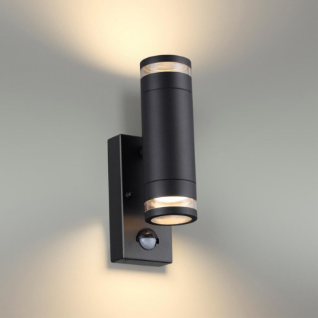 Уличные настенные светильники — Светильник настенный Odeon Light 6605/2W купить в 