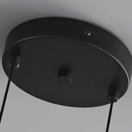 Подвесные светильники — Подвесной светильник ImperiumLoft 229897-23 купить в 