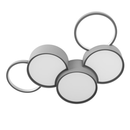 Накладные светильники — Накладной светильник LOFT IT 10317/5 Grey купить в 