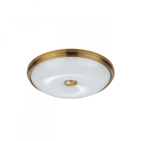 Накладные светильники — Накладной светильник Odeon Light 4956/4 купить в 