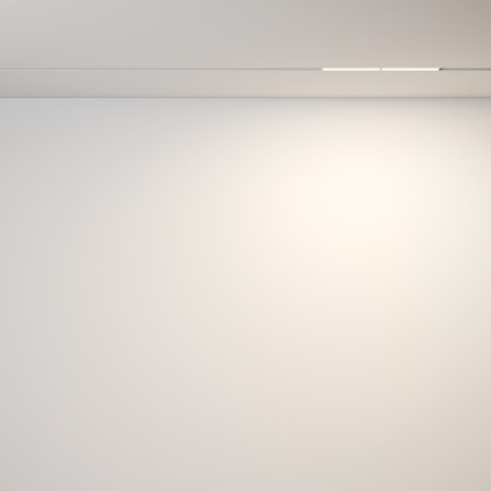 Трековые светильники — Светильник на шине Maytoni Technical TR106-2-12W3K-W купить в 