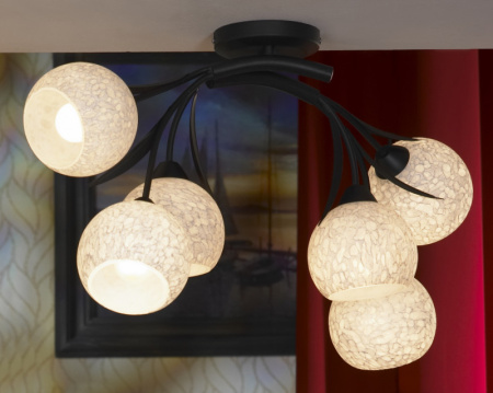 Люстры накладные — Накладная люстра Lussole LSF-6283-06 купить в  Люстры накладные — Накладная люстра Lussole LSF-6283-06 купить в