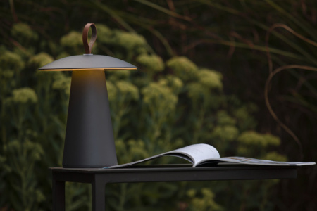 Уличные настольные светильники — Уличный светильник LUCIDE 27500/02/29 купить в 