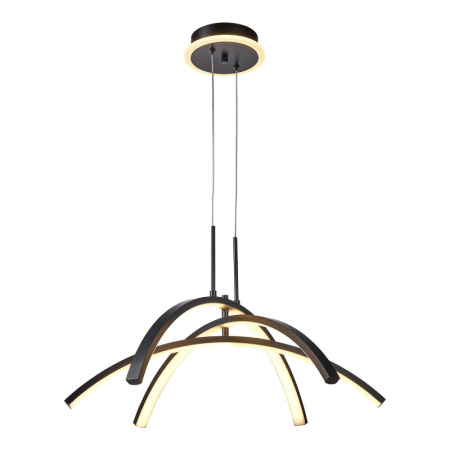 Подвесные светильники — Подвесной светильник Lussole LSP-7195 купить в 