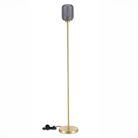 Торшеры и напольные светильники — Торшер ST-Luce SL1154.335.01 купить в 