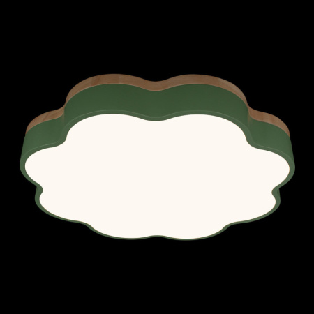 Накладные светильники — Накладной светильник LOFT IT 10225/36 Green купить в 