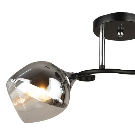 Потолочные люстры — Потолочная люстра Seven Fires Совер 66371.01.13.02 купить в  Потолочные люстры — Потолочная люстра Seven Fires Совер 66371.01.13.02 купить в