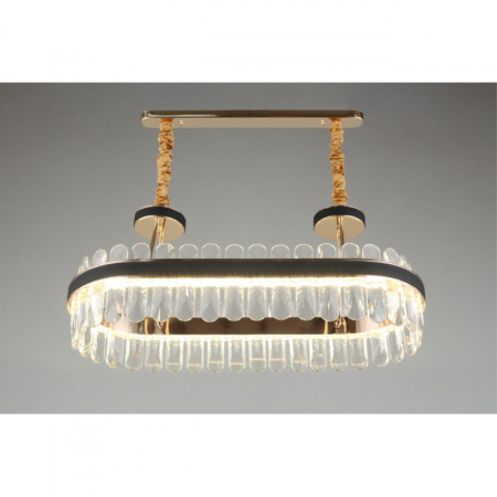 Люстры подвесные — Подвесная люстра APLOYT APL.027.03.81 купить в 