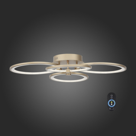 Накладные светильники — Накладной светильник ST-Luce SL867.202.04 купить в 