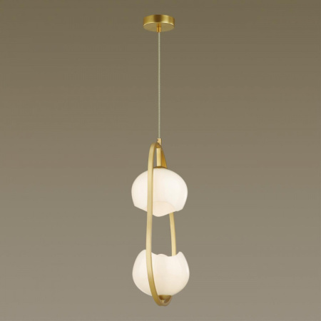 Подвесные светильники — Подвесной светильник Odeon Light 4873/2 купить в 