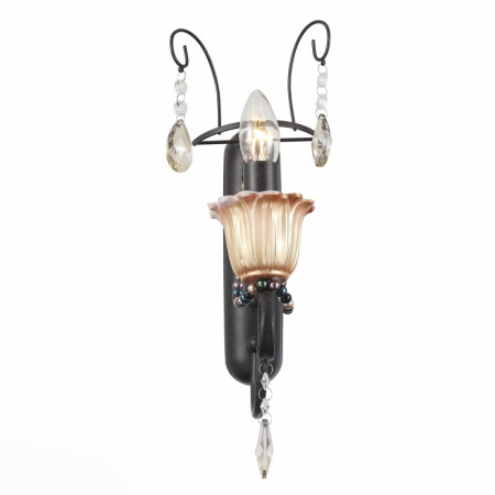 Настенные бра — Бра ST-Luce SL152.401.01 купить в  Настенные бра — Бра ST-Luce SL152.401.01 купить в