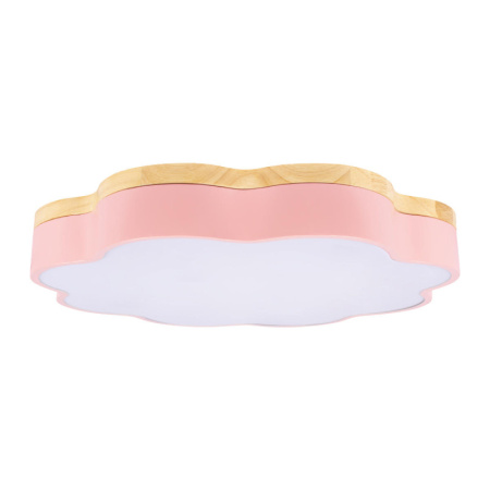 Накладные светильники — Накладной светильник LOFT IT 10225/36 Pink купить в 