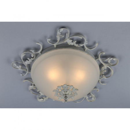 Накладные светильники — Накладной светильник Omnilux OML-76417-03 купить в 