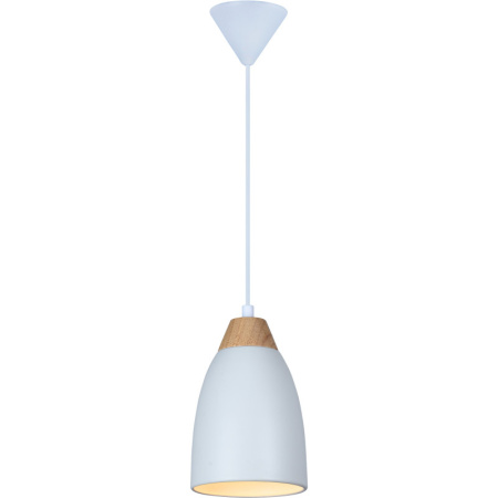 Подвесные светильники — Подвесной светильник TOPLIGHT TL0724H-2W купить в  Подвесные светильники — Подвесной светильник TOPLIGHT TL0724H-2W купить в