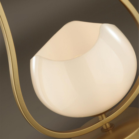 Настольные лампы — Настольная лампа Odeon Light 4873/1T купить в 