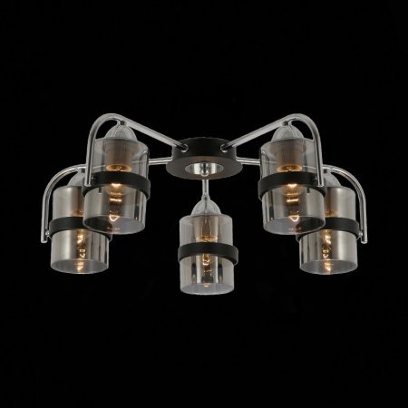 Люстры накладные — Накладная люстра Evoluce SLE102002-05 купить в  Люстры накладные — Накладная люстра Evoluce SLE102002-05 купить в