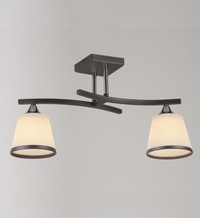 Потолочные люстры — 2751/2 темный купить в 