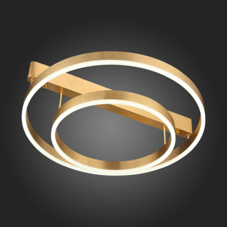 Накладные светильники — Накладной светильник ST-Luce SL944.202.02 купить в 