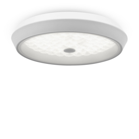 Накладные светильники — Накладной светильник Freya FR10012CL-L24W купить в 