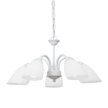 Люстры подвесные — Подвесная люстра Vitaluce V3336/5 купить в  Люстры подвесные — Подвесная люстра Vitaluce V3336/5 купить в