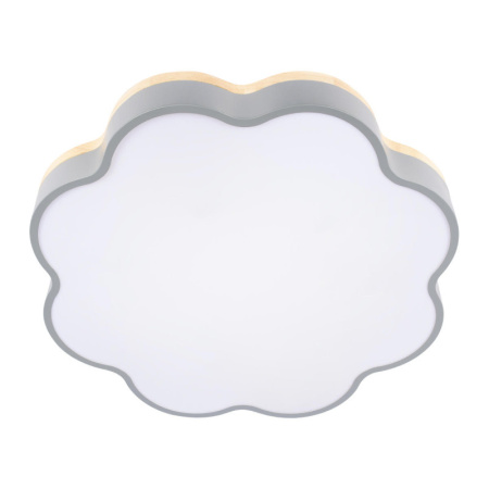 Накладные светильники — Накладной светильник LOFT IT 10225/36 Grey купить в 