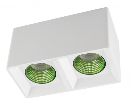 Накладные точечные светильники — Накладной светильник Denkirs DK3085-WH+GR купить в 