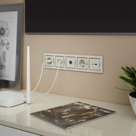 Розетки — Розетка Werkel W1181103 купить в 