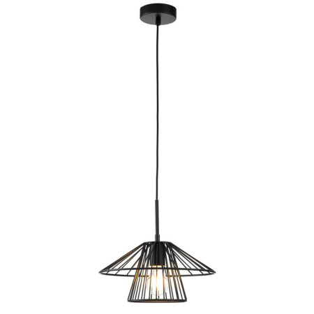 Подвесные светильники — Подвесной светильник Indigo Strato 10016/1P Black V000286 купить в  Подвесные светильники — Подвесной светильник Indigo Strato 10016/1P Black V000286 купить в