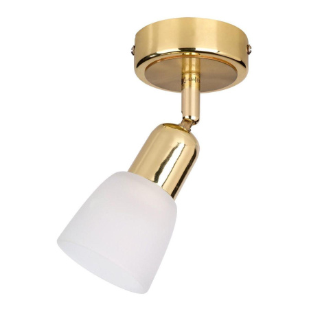 Споты — Спот Escada 5039/1PA купить в 