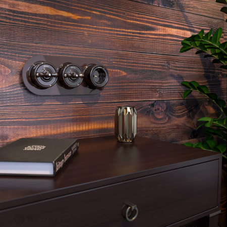 Выключатели — Выключатель Werkel W5620014 купить в 