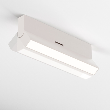 Накладные светильники — Накладной светильник Maytoni Technical C133CL-12W3K-W купить в 