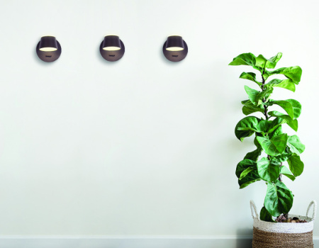 Настенные бра — Бра Ambrella Light FW168 купить в 