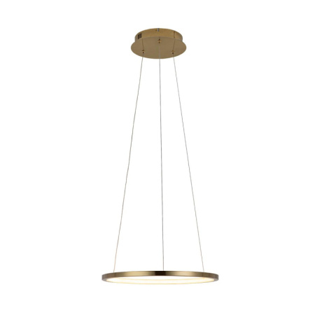 Подвесные светильники — Подвесной светильник LOFT IT 10014S купить в 