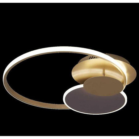 Потолочные светильники — Потолочный светодиодный светильник Escada 10247/3LED купить в 