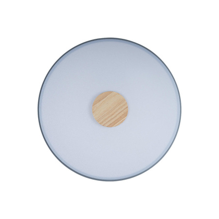 Накладные светильники — Накладной светильник LOFT IT 10003/24 Grey купить в 